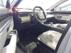 جيتور داشينج